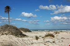  spiaggia de la seguia