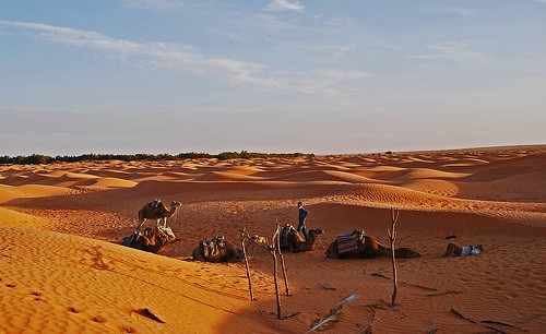  da djerba al deserto