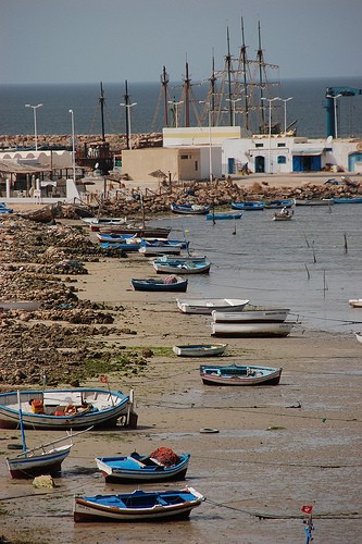  marina