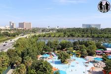  aquatica