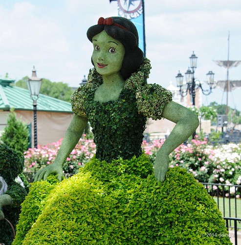  disney world