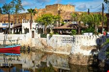  animal kingdom