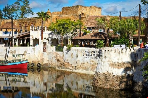 Animal Kingdom Orlando Christian Lambert Photography - Attribution-NoDerivs (http://creativecommons.org/licenses/by-nd/2.0/) Christian Lambert Photography