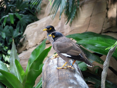  discovery cove