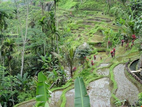  Bali travelourplanet.com - Attribution License (http://creativecommons.org/licenses/by/2.0/) travelourplanet.com