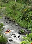 rafting nella foresta