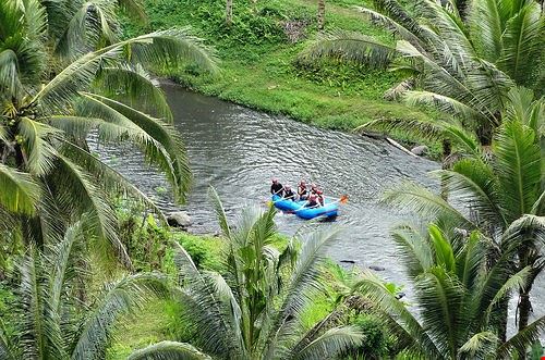 Rafting in the forest Bali travelourplanet.com - Attribution License (http://creativecommons.org/licenses/by/2.0/) travelourplanet.com