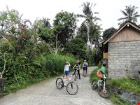  kintamani