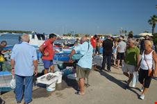 Porticciolo: si vende il pesce appena pescato