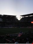  ellis park stadium