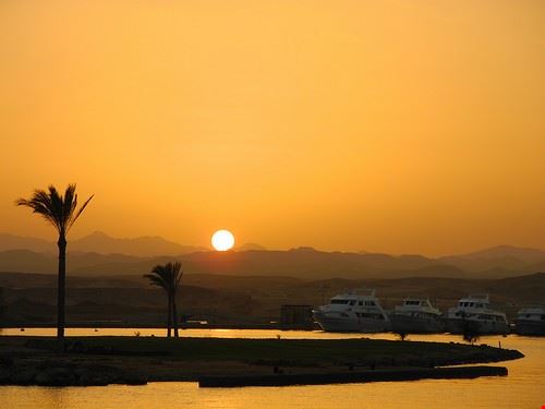  Marsa Alam opa guy - Attribution-NonCommercial-NoDerivs (http://creativecommons.org/licenses/by-nc-nd/2.0/) opa guy