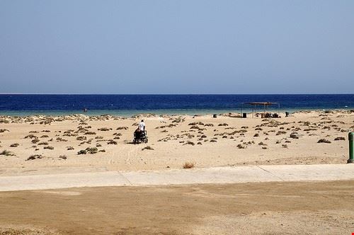  Marsa Alam Mathias Apitz (München) - Attribution-NoDerivs (http://creativecommons.org/licenses/by-nd/2.0/) Mathias Apitz (München)