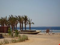  el queseir