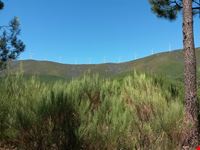  parco naturale di serra da estrela