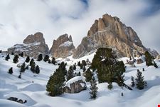  sella ronda