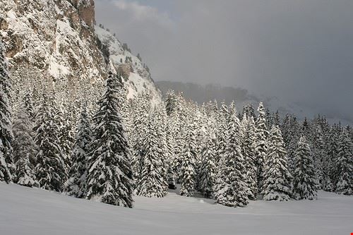 Parco Naturale Puez Odle Selva di Val Gardena patrizia_ferri - Attribution-NonCommercial-ShareAlike (http://creativecommons.org/licenses/by-nc-sa/2.0/) patrizia_ferri