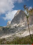  gruppo del catinaccio