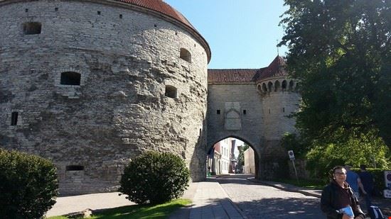  Tallinn  