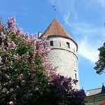 Castello di Toompea