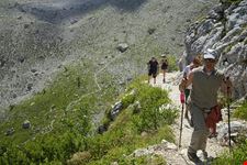  parco avventura dobbiaco