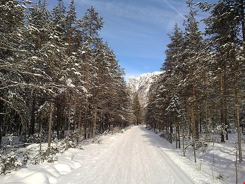 Piste da Sci - emanuelazibordi - emanuelazibordi - Attribution-NonCommercial-ShareAlike (http://creativecommons.org/licenses/by-nc-sa/2.0/)