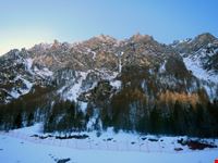 val troncea