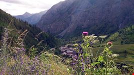  valle stretta