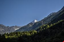  escursione guidata nel parco nazionale del gran paradiso