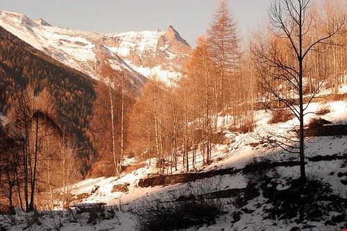 Tour nella Valle di Cogne - asbruff - asbruff - Attribution License (http://creativecommons.org/licenses/by/2.0/)