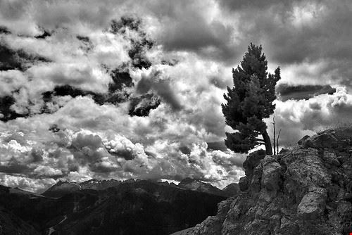 Centro storico - Stefano Costantini - Stefano Costantini - Attribution-NonCommercial-ShareAlike (http://creativecommons.org/licenses/by-nc-sa/2.0/)