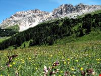  malghe