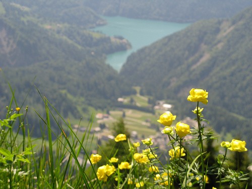  monte ruke e monte cavallo