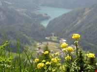  monte ruke e monte cavallo
