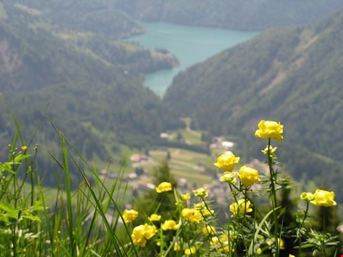 Monte Ruke e Monte Cavallo - Francesco Fabbro - Francesco Fabbro - Attribution-NonCommercial-ShareAlike (http://creativecommons.org/licenses/by-nc-sa/2.0/)
