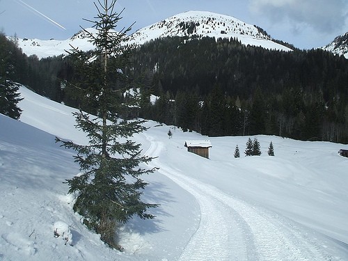  ski area