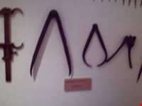  museo della civilta solandra