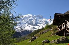  rifugio pastore