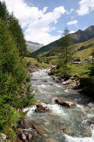  valle aurina