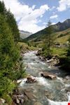  valle aurina