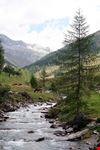  valle aurina