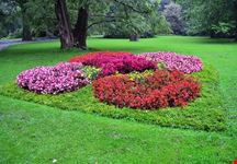  hofgarten