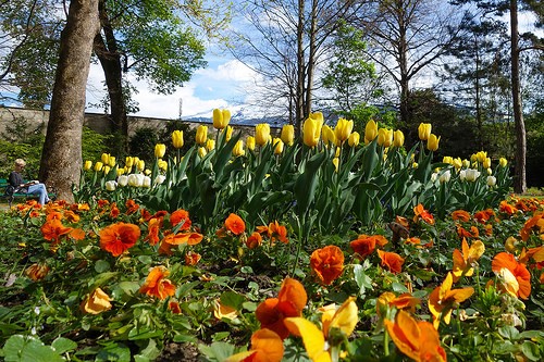  hofgarten
