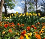 hofgarten hofgarten