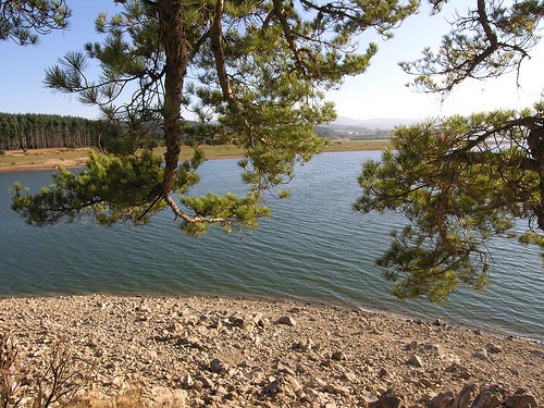  lago cecita
