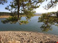  lago cecita