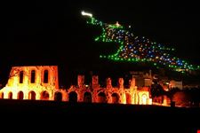  l albero di natale piu grande del mondo