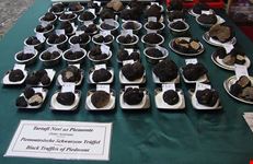  mostra mercato del tartufo