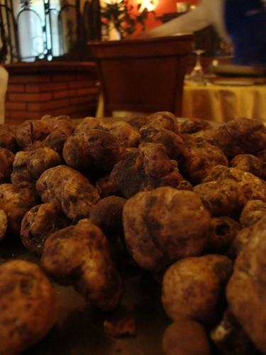  mostra mercato del tartufo
