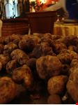  mostra mercato del tartufo