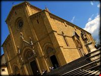 il duomo